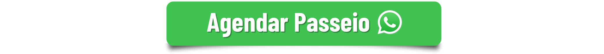 Viva Alagoas Tour - Maceió Alagoas....png